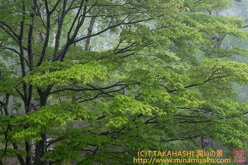 ../Images/7R250517 (111).jpg